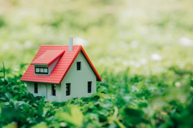 House model with nature background.Housing and home protecting insurance concept.Saving money for Housing concept.