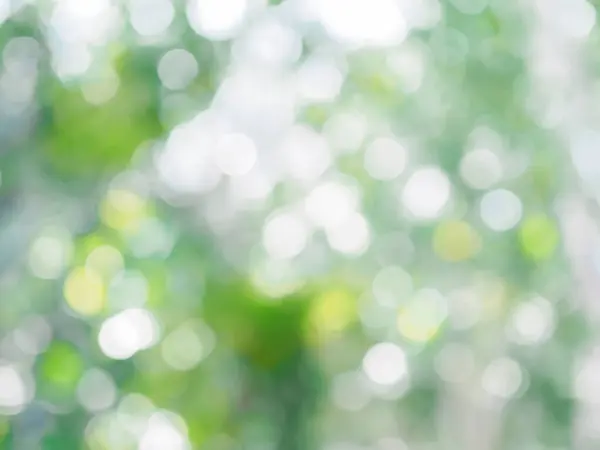 Doğal arkaplan için parlak ışığı olan soyut yeşil renk