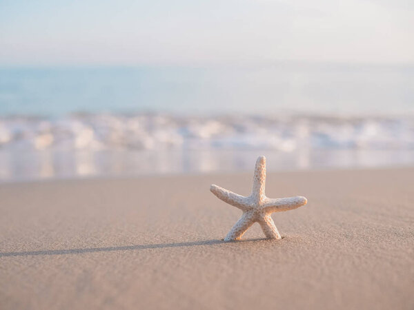 Estrella Mar Playa Con Fondo Marino — Foto de Stock