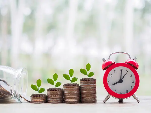 Time is money concept. Red alarm, Plants growing up on stack of coins. The concept of saving money, Financial, Investment and Business growing.