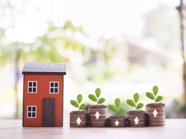 Miniature house and plants growing up on stack of coins. The concept of saving money for house, Property investment, House mortgage, Real estate.