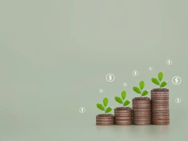 Plants growing up on stack of coins and dollar coin icons. The concept of saving money, Financial, Investment and Business growing.