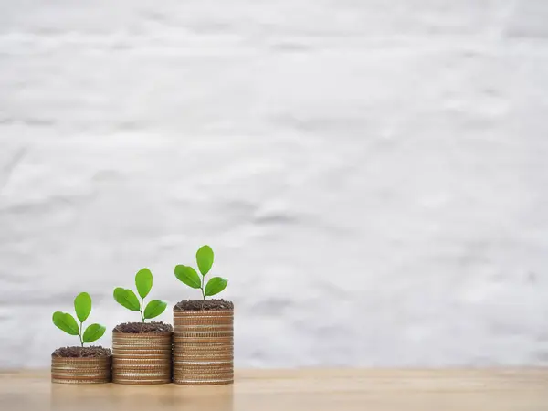 Bozuk para yığınında büyüyen bitkiler. Tasarruf, Finansal, Yatırım ve İş Büyütme kavramı.