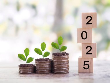 2025 numaralı tahta bloklar ve madeni paraların üzerinde büyüyen bitkiler. 2025 yılında para, finans, yatırım ve işletme tasarruf kavramı büyüyor.