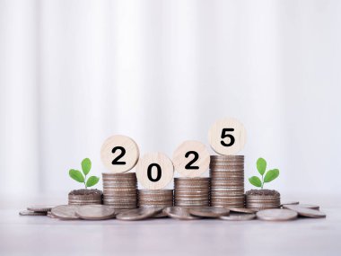 2025 numaralı tahta blok ve madeni paraların üzerinde büyüyen bitkiler. İş başarısı hedefi, Finansal, Yatırım ve İşletme için para biriktirme kavramı 2025 yılında büyüyor.
