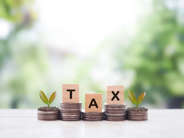 Vergi sözcüğünün olduğu tahta bloklar ve madeni paraların üzerinde büyüyen bitkiler. Tasarruf ve vergi ödemek için zaman kazanma konsepti