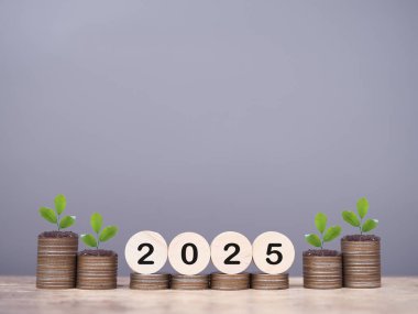 2025 numaralı tahta bloklar ve madeni paraların üzerinde büyüyen bitkiler. 2025 yılında para, finans, yatırım ve işletme tasarruf kavramı büyüyor.