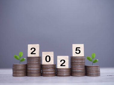 2025 numaralı tahta bloklar ve madeni paraların üzerinde büyüyen bitkiler. 2025 yılında para, finans, yatırım ve işletme tasarruf kavramı büyüyor.