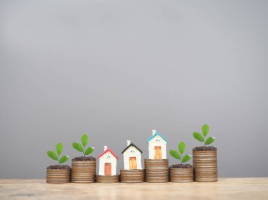 Minyatür ev ve madeni paraların üzerinde büyüyen bitkiler. Ev için para biriktirme kavramı, emlak yatırımları, ev kredisi, gayrimenkul..