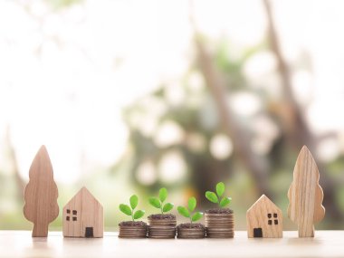 Minyatür ev ve madeni paraların üzerinde büyüyen bitkiler. Ev için para biriktirme kavramı, emlak yatırımları, ev kredisi, gayrimenkul..