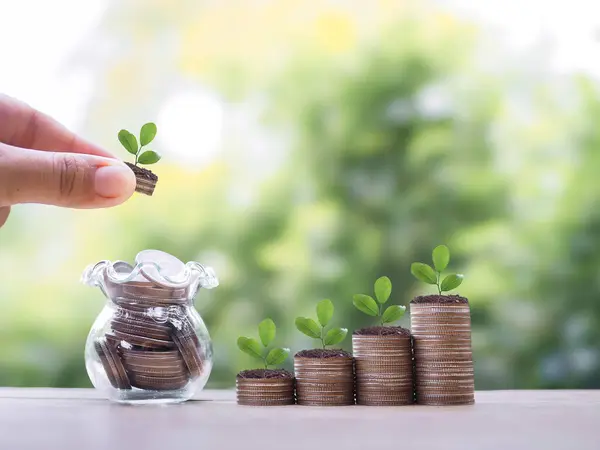 Elinizi kapayıp cam şişeye bozuk para koyuyorsunuz, bozuk para yığınının üzerinde büyüyen bitkiler. Büyürken para, finans, yatırım ve iş tasarruf kavramı.