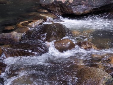 Ormandaki kayaların arasından akan dere.