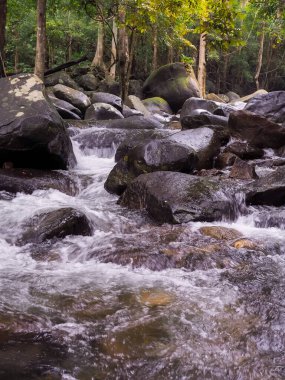 Ormandaki kayaların arasından akan dere.