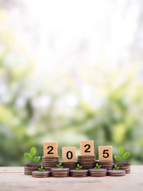2025 numaralı tahta bloklar ve madeni paraların üzerinde büyüyen bitkiler. 2025 yılında para, finans, yatırım ve işletme tasarruf kavramı büyüyor.