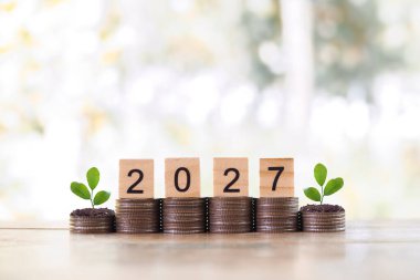 2027 numaralı tahta bloklar ve madeni paraların üzerinde büyüyen bitkiler. 2027 yılında para, finans, yatırım ve işletme tasarruf kavramı büyüyor.