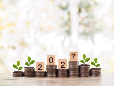 2027 numaralı tahta bloklar ve madeni paraların üzerinde büyüyen bitkiler. 2027 yılında para, finans, yatırım ve işletme tasarruf kavramı büyüyor.