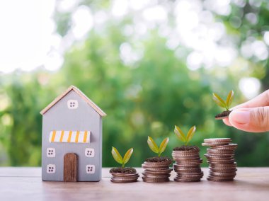 Minyatür ev ve madeni paraların üzerinde büyüyen bitkiler. Ev için para biriktirme kavramı, emlak yatırımları, ev kredisi, gelecekte gayrimenkul.