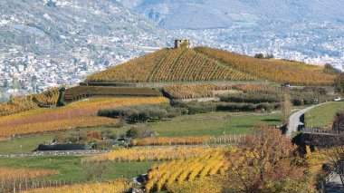 Sıcak sonbahar renklerine sahip dağ üzüm bağları