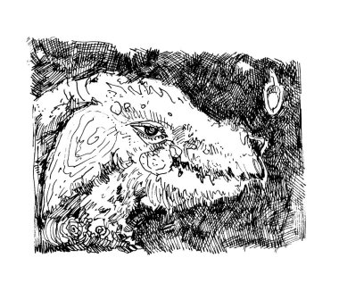  Detaylı kürklü bir yaratığın vektör mürekkep çizimi ve çapraz yumurtadan çıkma tekniğiyle yapılmış anlamlı bir göz. Karanlık, yoğun ve dokulu..