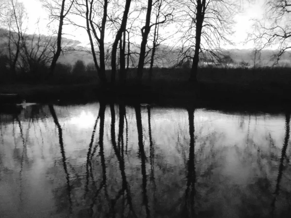 Czarno Biały Obraz Bezśnieżna Zimowa Scena Wieczorna Gołymi Drzewami Ciemnymi — Zdjęcie stockowe