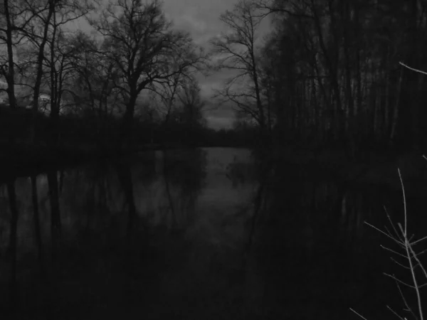 Сірий Затінений Страшна Нічна Сцена Голими Деревами Під Темними Хмарами — стокове фото