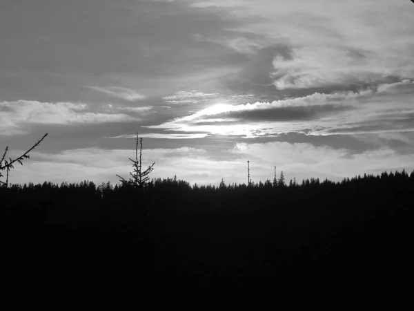 Ретро Зображення Сонце Сяє Над Темним Лісом Прихованим Бачачи Тонку — стокове фото