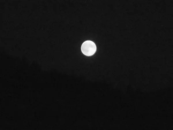 Imagen Escala Grises Escena Nocturna Luna Brillando Través Oscuridad Total — Foto de Stock