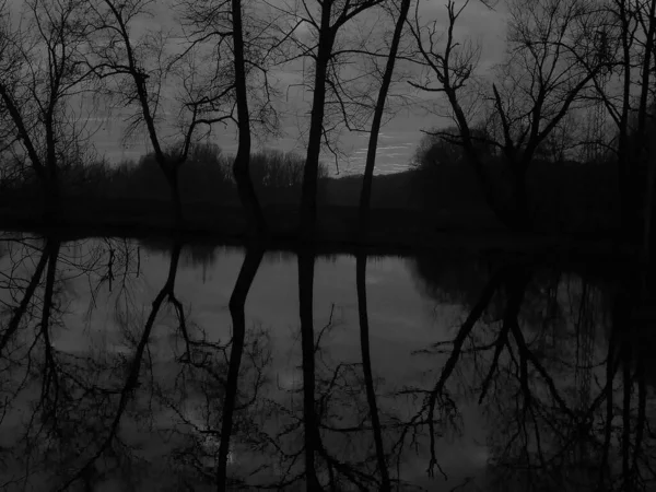 역영상 눈없는 연못의 연못의 수면에서 반사되는 피묻은 — 스톡 사진
