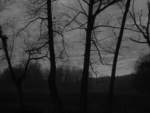 회색의 이미지 눈없는 겨울의 시간에 과드넓은 아름다운 — 스톡 사진