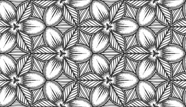Soyut çiçek, siyah beyaz, pürüzsüz desen. Tek renkli taç yaprakları ve tekrar eden dekoratif arka plan. Klasik çiçek desenli. Kumaş duvar kağıdı için süs, ambalaj baskısı
