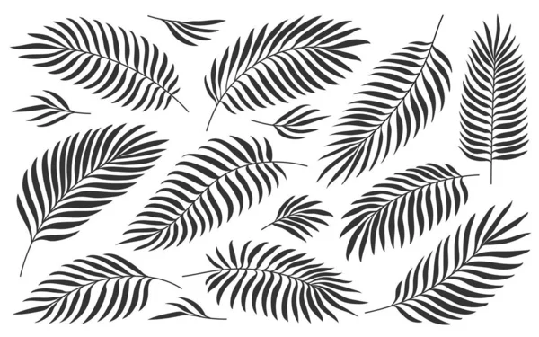 Tropische Palmbladeren Jungle Gebladerte Zwart Silhouet Set Geïsoleerd Wit Exotische — Stockvector
