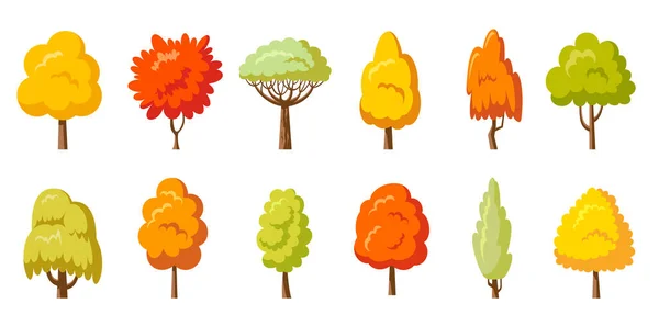 Осеннее Дерево Парка Падать Жёлтые Растения Вид Сбоку Береза Ивового — стоковый вектор