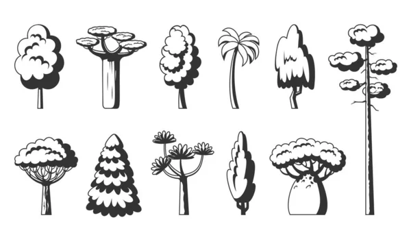 Baumsymbole Gesetzt Schwarze Stempelschablone Von Wald Stilisierten Ökopflanzen Seitenansicht Dracaena — Stockvektor