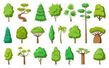 Düz ağaç seti. Spruce akçaağaç baobab palmiye sekolisi. Tarzlı ekolojik bitkiler yan görünüm. Dracaena söğüt selvisi thuja çam meşesi kavak ağacı. Çizgi film yeşil ağaçlar ormanı. Aspen alder kül linden akasya kestanesi