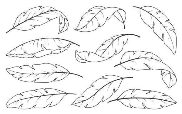熱帯の葉の手のセットを描いた スケッチグラフィック彫刻ドアスタイルでバナナヤシの葉 白い線状の抽象的なエキゾチックな枝 トレンディーな植物の黒ラインアートのぬりえブックページ — ストックベクタ
