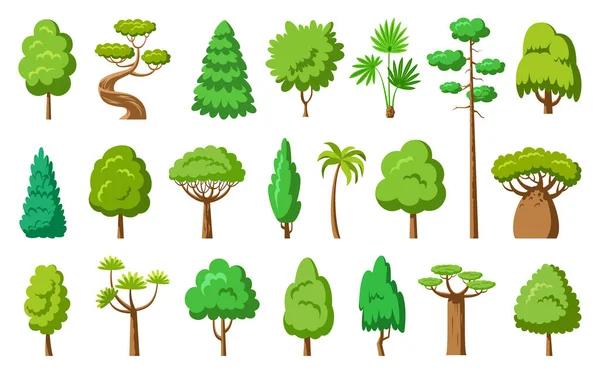 Conjunto Árboles Planos Secoya Palma Abeto Arce Baobab Plantas Eco Ilustración de stock