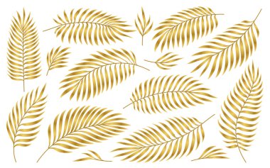 Altın palmiye yaprakları. Orman altın yaprakları beyaza saçılmış. Lüks düğün davetiyeleri için egzotik bitki yaprağı, folyo boyası, ambalajlar. El yapımı tropik yaz çiçekleri