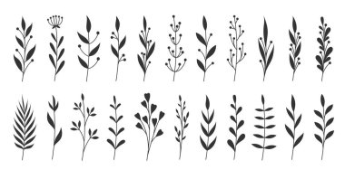 El yapımı botanik dalları çiçekli elementler bırakır. Çeşitlilik basit sapları, zarif yaprakları, soyut çiçekleri şekillendirir. Düğün davetiyeleri, markalar, desenler, posterler, sosyal medya oluşturma