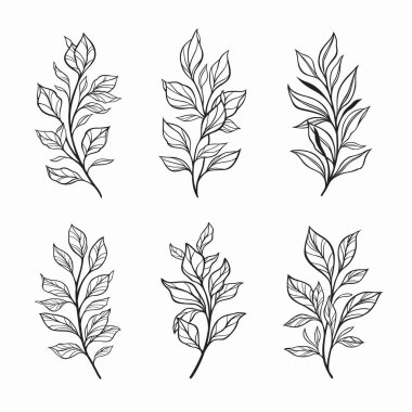 Modaya uygun botanik elementler, el çizgisi dallar bırakır ve çiçek açar.