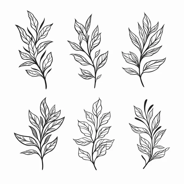 Modaya uygun botanik elementler, el çizgisi dallar bırakır ve çiçek açar.