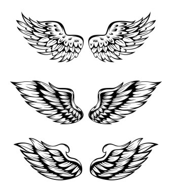 Kanatların Çizimi Koleksiyon Kümesi