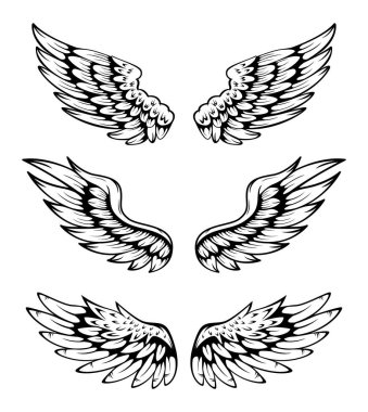 Kanatların Çizimi Koleksiyon Kümesi