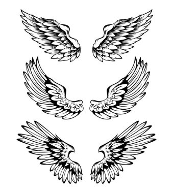 Kanatların Çizimi Koleksiyon Kümesi