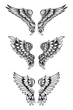 Kanatların Çizimi Koleksiyon Kümesi