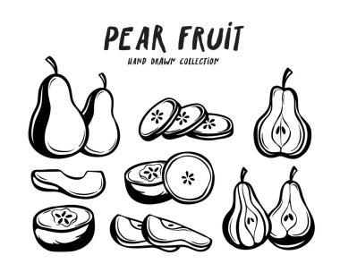 Beyaz arka planda armut meyveli el çizimi kavramı