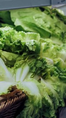 Süpermarketteki sebze reyonunda taze sebze ve otlar. Yakın plan. Vejetaryen ve vejetaryen yemekleri. Market. Süpermarket. Yiyecek pazarı. alışveriş.