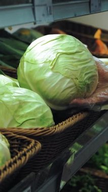 Süpermarkette lahana. Yakın plan. Market tezgahında taze lahana. Şeffaf eldivenli bir kadın eli süpermarket sebze bölümünün lahana şefini seçiyor. Organik sebzeler. Sağlıklı yemek. bakkal.