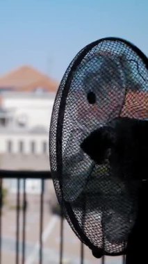 Elektrik vantilatörü. Elektrikli havalandırma. Yakın plan. Odada çalışan bir vantilatörün siyah silueti, pencerenin karşısında. Odayı soğutuyorum...