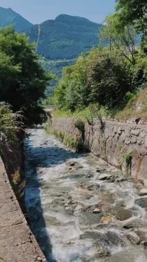 Dağ Akıntısı Yeşillik ve Alp Sahnesi Rahatlatıcı Posterler İçin Mükemmel