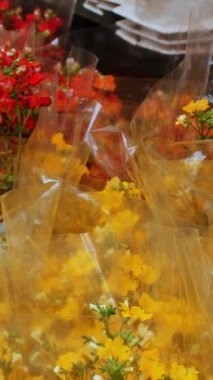 Flower market. horticulture. Flower Shop. greenhouse. variety of indoor flowers in pots. geraniums, plants in gardening supplies store. various potted succulents of different shapes and sizes